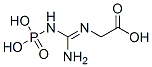 2-[[amino-(phosphonoamino)methylidene]amino]acetic acid CAS#: 5115-19-5