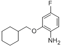 2-(cyclohexylmethoxy)-4-fluoroaniline CAS#: 473732-52-4