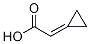 2-cyclopropylideneacetic acid CAS#: 5687-73-0
