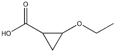 2-ethoxycyclopropane-1-carboxylic acid CAS#: 53381-05-8