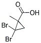 2,2-DIBROMO-1-METHYL-CYCLOPROPANECARBOXYLIC ACID CAS#: 5365-21-9
