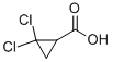 2,2-DICHLORO-CYCLOPROPANECARBOXYLIC ACID CAS#: 5365-14-0