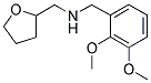 (2,3-DIMETHOXY-BENZYL)-(TETRAHYDRO-FURAN-2-YL-METHYL)-AMINE CAS#: 510723-80-5
