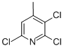 2,3,6-TRICHLORO-4-METHYLPYRIDINE CAS#: 52137-65-2