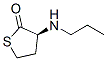 2(3H)-Thiophenone, dihydro-3-(propylamino)-, (3S)- (9CI) CAS#: 454679-18-6