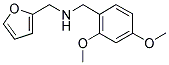 (2,4-DIMETHOXY-BENZYL)-FURAN-2-YLMETHYL-AMINE CAS#: 510723-66-7