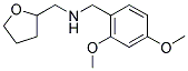 (2,4-DIMETHOXY-BENZYL)-(TETRAHYDRO-FURAN-2-YL-METHYL)-AMINE CAS#: 510723-75-8