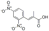 2,4-Dinitrophenylmethacrylate CAS#: 54616-59-0