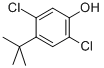 2,5-DICHLORO-4-TERT-BUTYLPHENOL CAS#: 52780-22-0