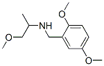 (2,5-DIMETHOXY-BENZYL)-(2-METHOXY-1-METHYL-ETHYL)-AMINE CAS#: 436099-94-4