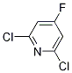 2,6-Dichloro-4-fluoropyridine CAS#: 52074-49-4