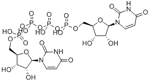 [[(2R,3R,4R,5R)-5-(2,4-dioxopyrimidin-1-yl)-3,4-dihydroxy-oxolan-2-yl]methoxy-hydroxy-phosphoryl]oxy-[[[(2R,3R,4R,5R)-5-(2,4-dioxopyrimidin-1-yl)-3,4-dihydroxy-oxolan-2-yl]methoxy-hydroxy-phosphoryl]oxy-hydroxy-phosphoryl]oxy-phosphinic acid CAS#: 59985-21-6