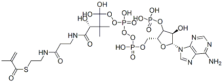[(2R,3R,4R,5R)-5-(6-aminopurin-9-yl)-4-hydroxy-2-[[hydroxy-[hydroxy-[3-hydroxy-2,2-dimethyl-3-[2-[2-(2-methylprop-2-enoylsulfanyl)ethylcarbamoyl]ethylcarbamoyl]propoxy]phosphoryl]oxy-phosphoryl]oxymethyl]oxolan-3-yl]oxyphosphonic acid CAS#: 6008-91-9