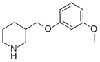 3-(3-METHOXY-PHENOXYMETHYL)-PIPERIDINE CAS#: 405062-73-9