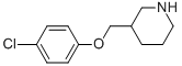 3-[(4-CHLOROPHENOXY)METHYL]PIPERIDINE CAS#: 405062-72-8