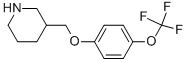 3-([4-(TRIFLUOROMETHOXY)PHENOXY]METHYL)PIPERIDINE CAS#: 405090-60-0