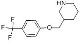 3-{[4-(TRIFLUOROMETHYL)PHENOXY]METHYL}-PIPERIDINE CAS#: 405063-22-1