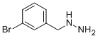 3-BROMO-BENZYL-HYDRAZINE CAS#: 51859-95-1