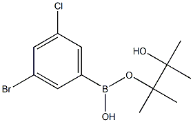3-BroMo-5-chlorophenylboronic acid pinacol ester CAS#: 488850-91-5
