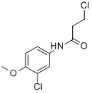 3-CHLORO-N-(3-CHLORO-4-METHOXYPHENYL)PROPANAMIDE CAS#: 449170-55-2