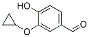 3-CYCLOPROPOXY-4-HYDROXY-BENZALDEHYDE CAS#: 569685-48-9
