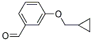 3-(CYCLOPROPYLMETHOXY)BENZALDEHYDE CAS#: 58986-61-1