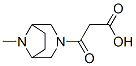 3-(Carboxyacetyl)-8-methyl-3,8-diazabicyclo[3.2.1]octane CAS#: 57269-17-7