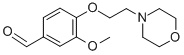 3-METHOXY-4-(2-MORPHOLIN-4-YL-ETHOXY)-BENZALDEHYDE CAS#: 6131-05-1