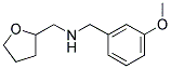 (3-METHOXY-BENZYL)-(TETRAHYDRO-FURAN-2-YLMETHYL)-AMINE CAS#: 510723-82-7