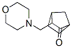 3-(MORPHOLINOMETHYL)-2-NORBORNANONE CAS#: 5025-07-0