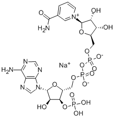 3'-NADP SODIUM SALT CAS#: 50443-29-3