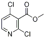 3-Pyridinecarboxylic acid, 2,4-dichloro-, Methyl ester CAS#: 442903-28-8