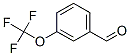 3-(Trifluoromethoxy)benzaldehyde CAS#: 52771-21-8