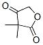 3,3-dimethylfuran-2,4(3H,5H)-dione CAS#: 5436-15-7