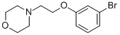 4-[2-(3-BROMOPHENOXY)ETHYL]MORPHOLINE CAS#: 435283-95-7