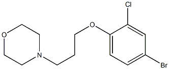 4-(3-(4-broMo-2-chlorophenoxy)propyl)Morpholine CAS#: 433946-01-1