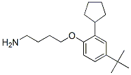 4-[4-(tert-butyl)-2-cyclopentylphenoxy]butylamine CAS#: 52762-69-3