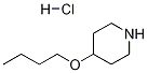 4-BUTOXYPIPERIDINE HYDROCHLORIDE CAS#: 460365-20-2