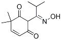 4-Cyclohexene-1,3-dione, 2-[1-(hydroxyimino)-2-methylpropyl]-6,6-dimethyl- (9CI) CAS#: 474942-66-0