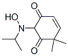 4-Cyclohexene-1,3-dione, 2-[hydroxy(1-methylethyl)amino]-6,6-dimethyl- (9CI) CAS#: 474942-63-7