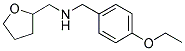 (4-ETHOXY-BENZYL)-(TETRAHYDRO-FURAN-2-YLMETHYL)-AMINE CAS#: 510723-83-8