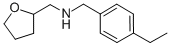 (4-ETHYL-BENZYL)-(TETRAHYDRO-FURAN-2-YLMETHYL)-AMINE CAS#: 436096-83-2