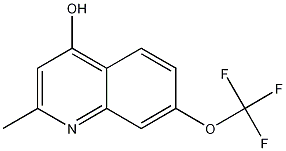4-Hydroxy-2-methyl-7-trifluoromethoxyquinoline CAS#: 53985-76-5