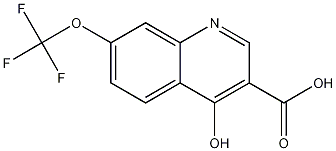 4-Hydroxy-7-trifluoromethoxyquinoline-3-carboxylic acid CAS#: 53985-74-3