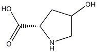 4-Hydroxyproline CAS#: 51-35-4