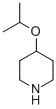 4-ISOPROPOXY-PIPERIDINE CAS#: 43139-18-0