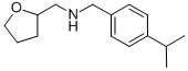 (4-ISOPROPYL-BENZYL)(TETRAHYDROFURAN-2-YL-METHYL)AMINE CAS#: 436096-82-1