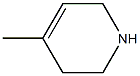 4-Methyl-1,2,3,6-tetrahydropyridine CAS#: 694-50-8
