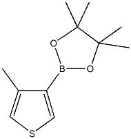 4-Methylthiophene-3-boronic acid pinacol ester CAS#: 476620-20-9
