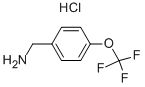 4-TRIFLUOROMETHOXYBENZYLAMINE HCL CAS#: 403841-98-5